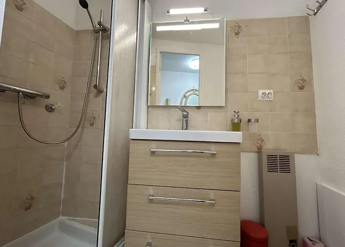 Appartement Sm1345 Mezzanine Maxime 5 Couchages